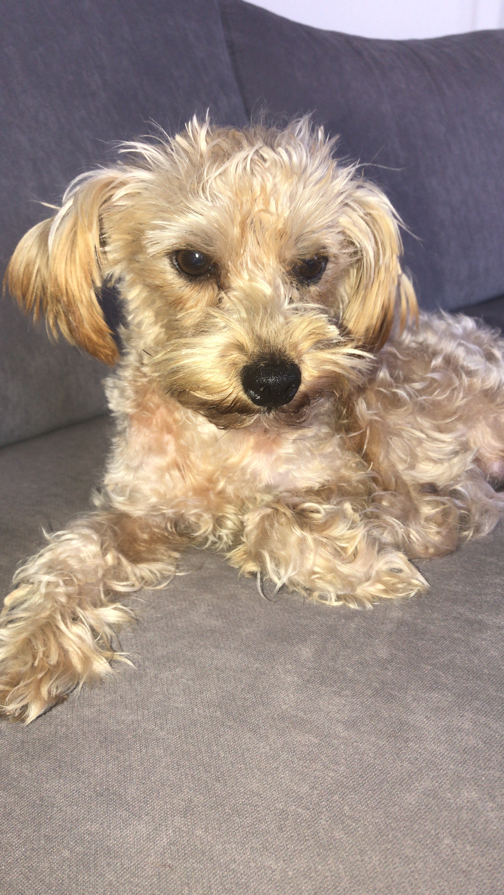 c591b53e-9642-4a2f-85e8-ea1255776237