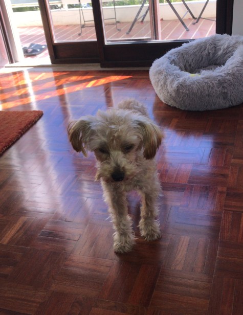 0525557a-e263-48f6-9646-5fcc356857ce